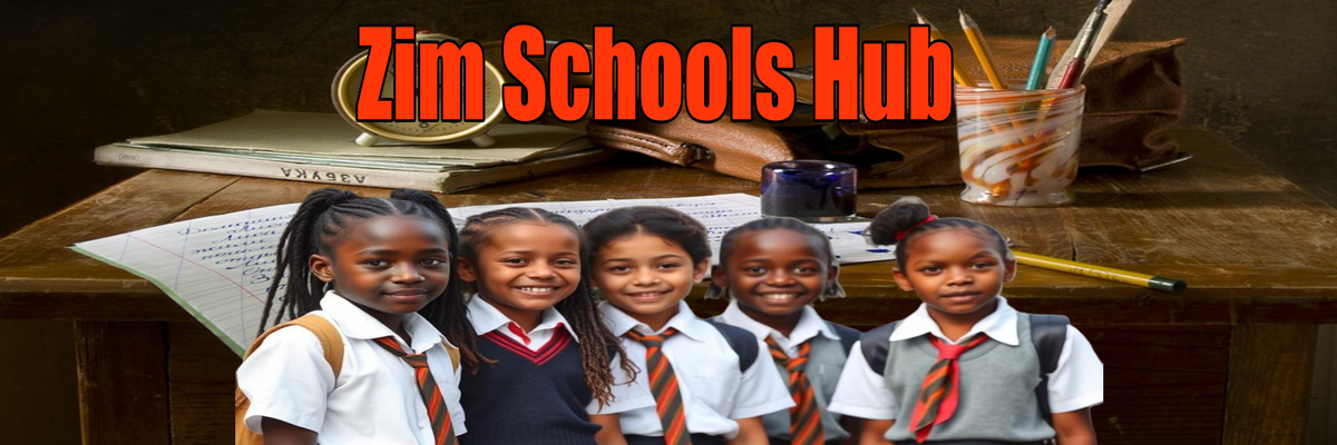 Zim Schools Hub